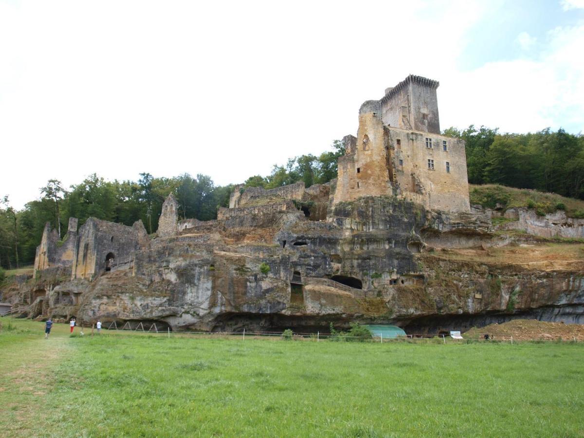 Cozy Cottage In Aquitaine With Private Swimming Pool Peyzac-le-Moustier Zewnętrze zdjęcie